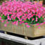 Fleurs artificielles-1398364679