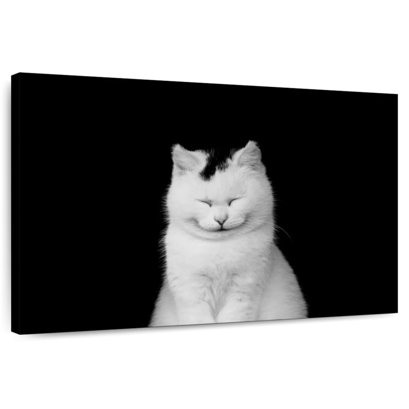 Brampt Delighted White Cat, 24" H x 36" W