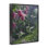Giclée encadrée de Hummingbird Haven Garden, conception par Collin Bogle