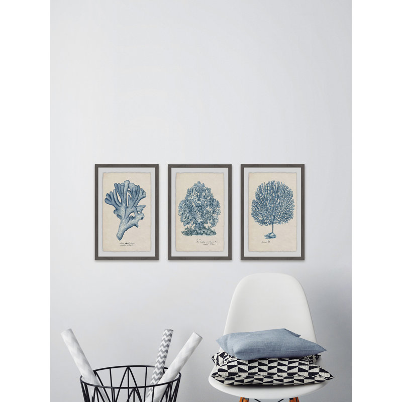 Sea Coral Study II Triptych - ensemble de 3 reproductions d'art sur papier encadré, H 36 po x l 24 po x L 1,5 po