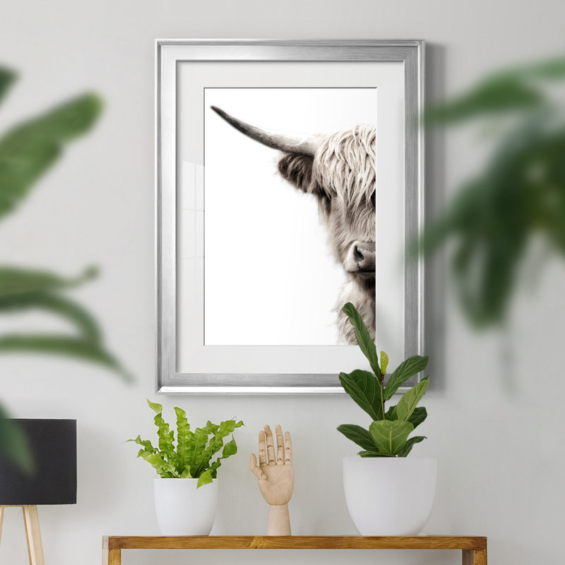 «Highland C best» par Danita Delimont - reproduction de cadre photo, H 18,5 po x l 24,5 po x P 1,5 po, Silver Frame