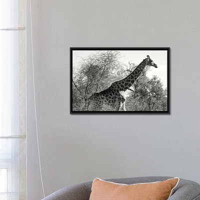 Reproduction de photo sur toile tendue, "Awesome South America Series African"