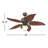 Oasis 48'' Ceiling Fan with Light Kit