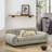 pet sofa