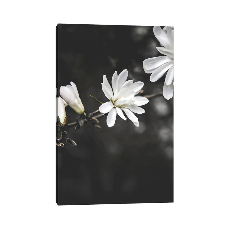 White Flowers by Design Fabrikken - Wrapped Canvas Painting, 20.32 cm H x 30.48 cm W