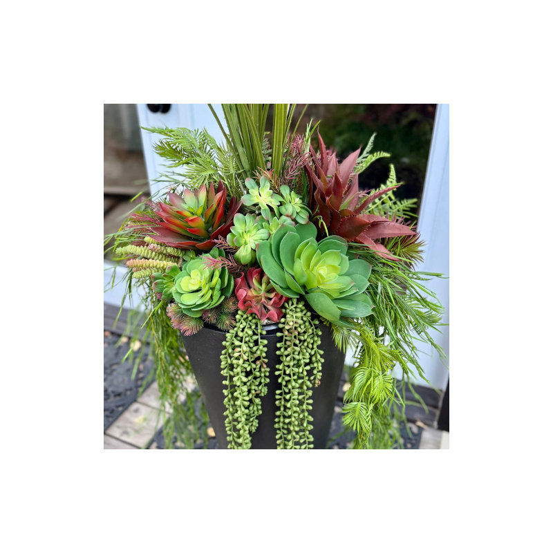 Pots de fleurs rouges succulents
