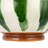 AllModern Serving Bowl