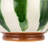 AllModern Stoneware Serving Bowl