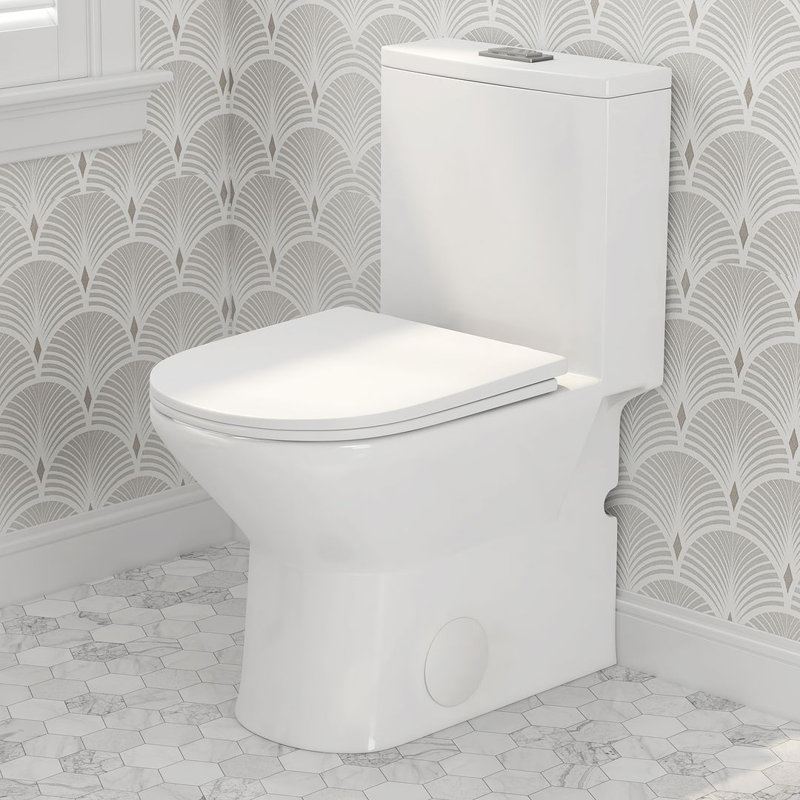 Naples 25" Depth Dual Flush Compact Elongated Chair Height One Piece Toilet, 12-inch Rough-in (Seat Included)
