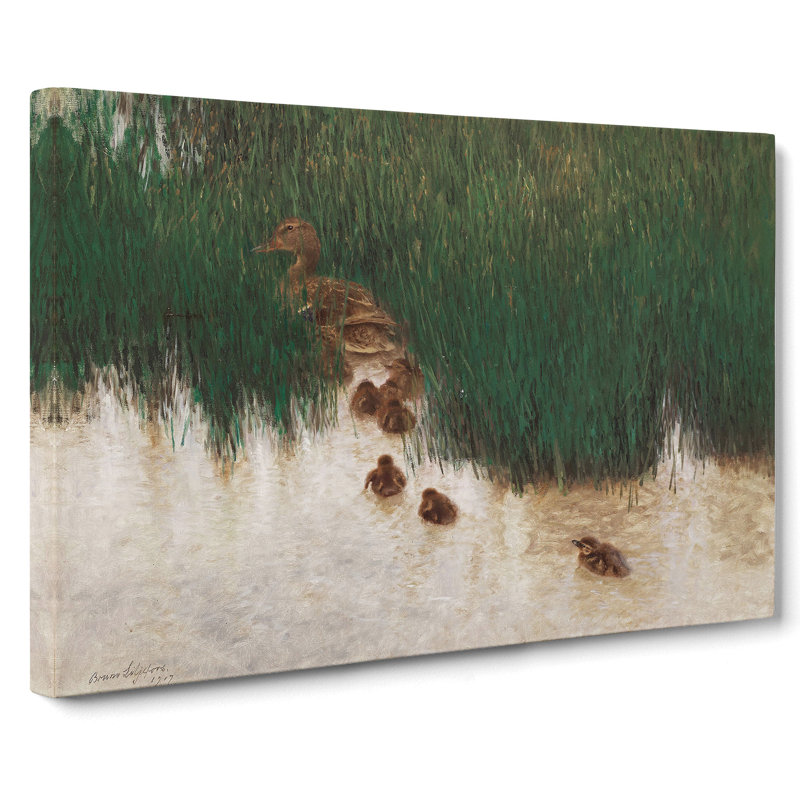 Duck Family by Bruno Liljefors - Wrapped Canvas, 50cm H x 76cm W x 3cm D