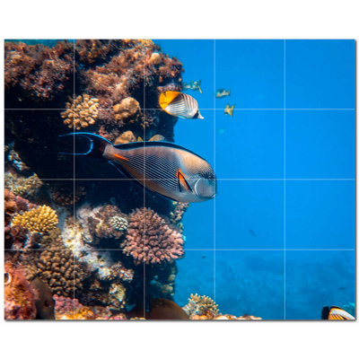 Corail photo 4,25 x 4,25