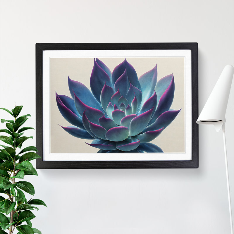 Watercolour Succulent Plant Vol.3 - Framed Print, Black, 34cm H x 46cm W
