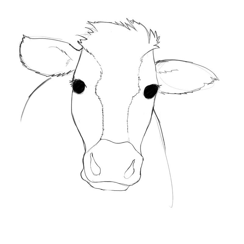 " Simple Cow " Painting Print, 12" H x 12" W  