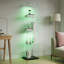 Display Cabinet-237066279