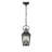 2-Light Outdoor Hanging Pendant Light