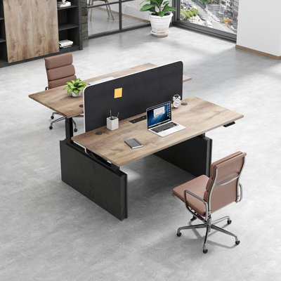 Dual Person Height Adjustable Standing Desk with Privacy Partition, 59" Light Brown One‑Piece Desktop, Electric Sit‑Stand Workstation with Divider Panel for Home Office