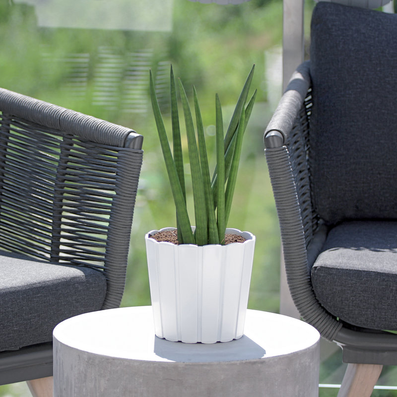 Cairns Pot Planter, White