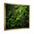 Gold Single Picture Framed
