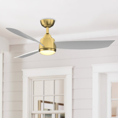 Ventilateur de plafond intérieur / extérieur 52 po avec éclairage à DEL Annemijn