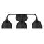 Ringwood 3-Light Dimmable Bathroom Light-1969818999-1969818992
