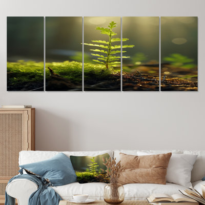 Cass - Leaves Wall Art 5 Piece
