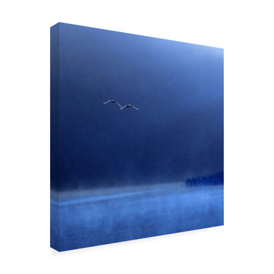 Art sur toile, Marcin Michalowski Swans