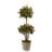 66'' Faux Flowering Tree in Wood Planter