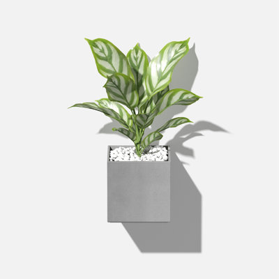 Geo Series 5" Wall Planter