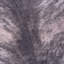 Toledo Animal Print Printed Design 155cm X 190cm Area Rug