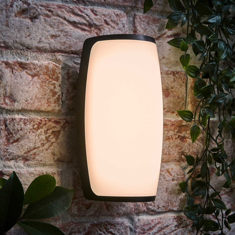 Deneesha Matte Black 22.5cm H Integrated LED Outdoor Sconce