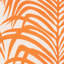 Zebra Palm Fabric-31246906