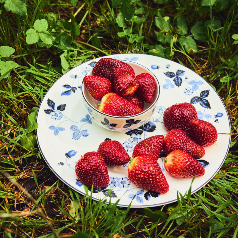 Wedgwood Wild Strawberry Inky Blue Plate 8.1in