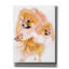 "Pomeranian" par Barbara Keith-1904867283