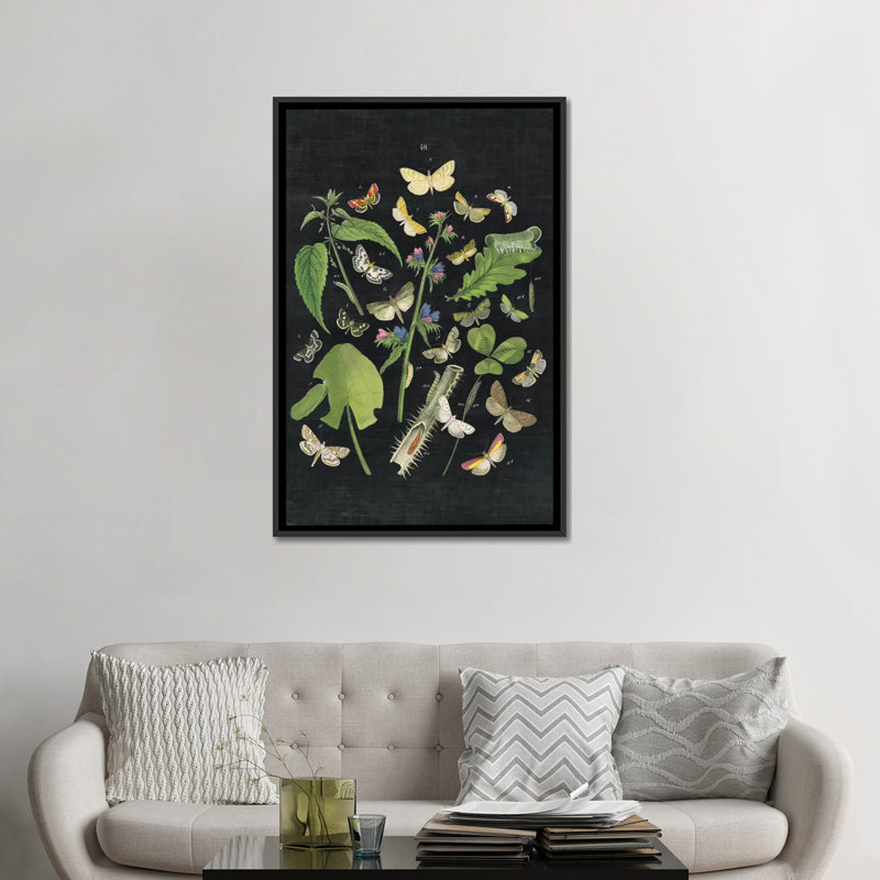 « papillon bouquet iii », impression sur toile tendue, H 26 po x l 18 po x P 1,5 po, Toile avec cadre noir, Pas de tapis
