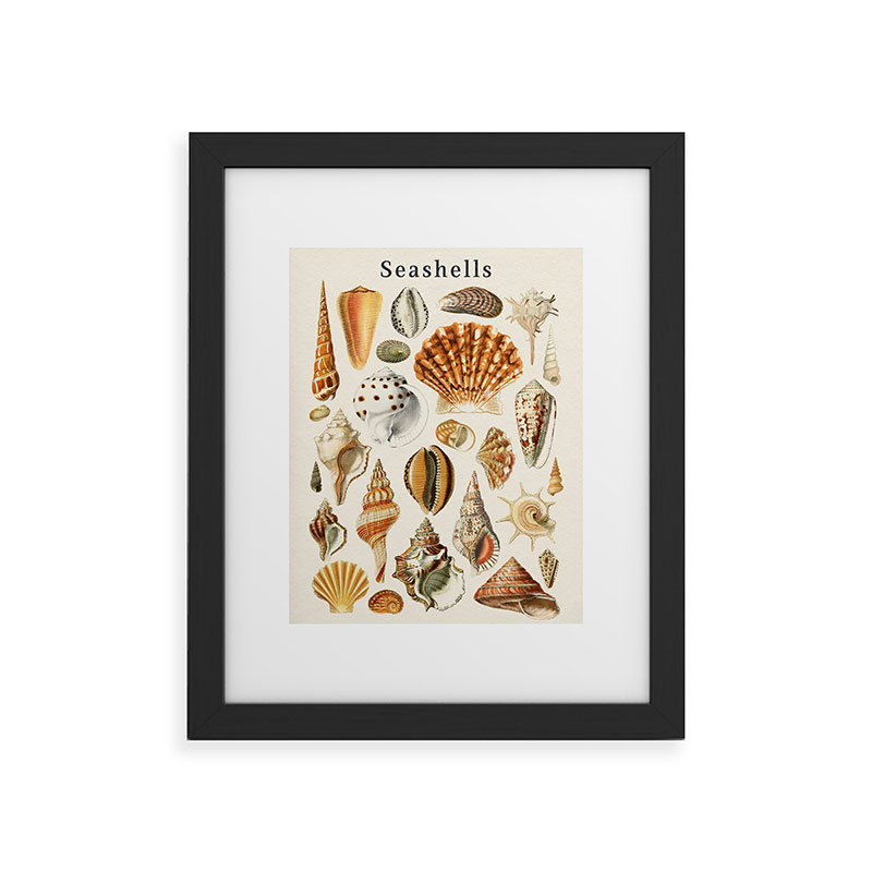 «Gal Design Seashells», reproduction d'art encadrée, H 10 po x l 8 po, Noir