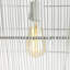 Barby 1 - Light Pendant