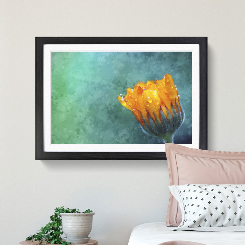 Blooming Orange Magnolia Flower Painting 1 Piece Single Picture Frame Wall Art on MDF, 33cm H x 45cm W x 2cm D, Black
