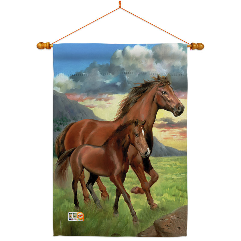 Cheval Americana 2 faces polyester 40 x 28 po Ensemble de drapeaux