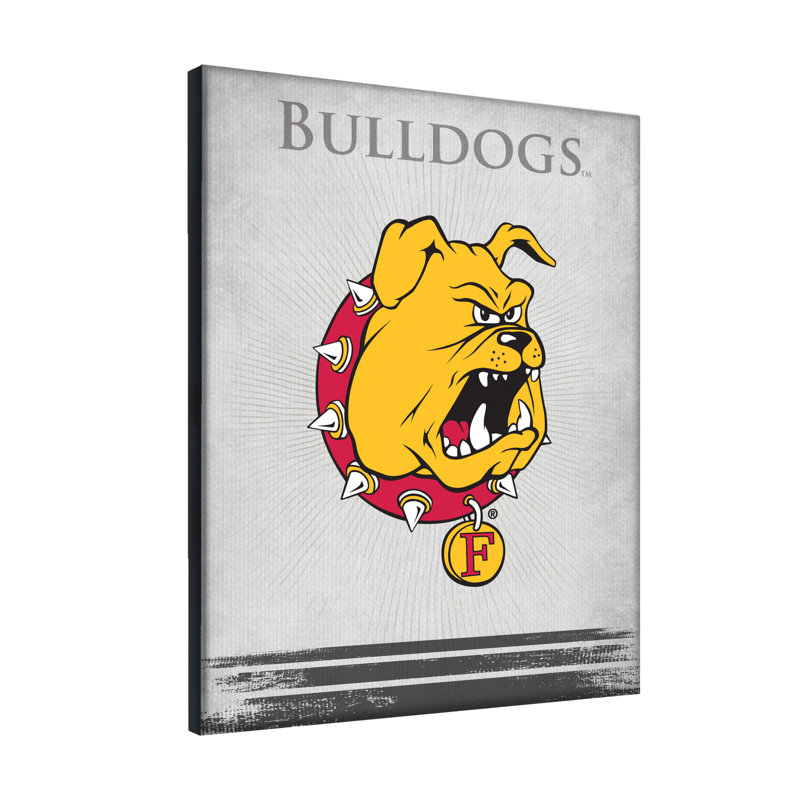 NCAA - Impression sur toile tendue, H 15 po x l 20 po x P 1 po, Bulldogs de Ferris State