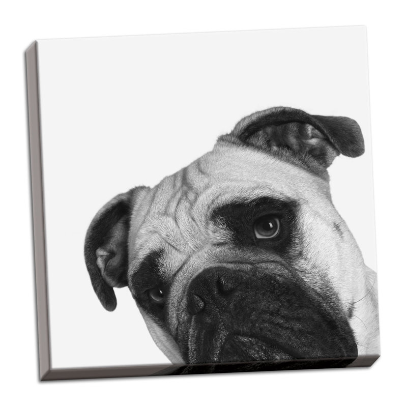«Que Pasa? Impression graphique, Toile tendue, H 12 po x l 12 po x P 0,75 po
