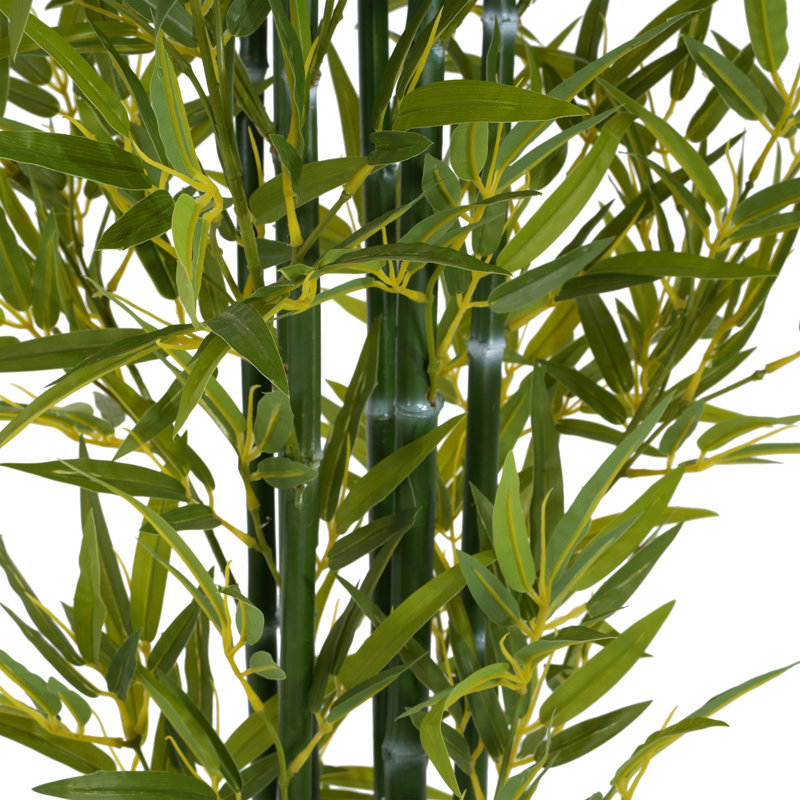 Ensemble de plantes Nadia, Brun, H 72 po x l 42 po x P 42 po