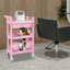 Chariot de rangement de salon de beauté 3 niveaux avec tiroir et roulettes-109742825