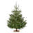 Krinner Kopenhagen Oak Christmas Tree Stand