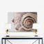 Sea Shell Print-24078257