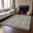 Premium Machine Washable Prisco Gray Rug-596118981
