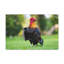 No Frame Print on Canvas-184524