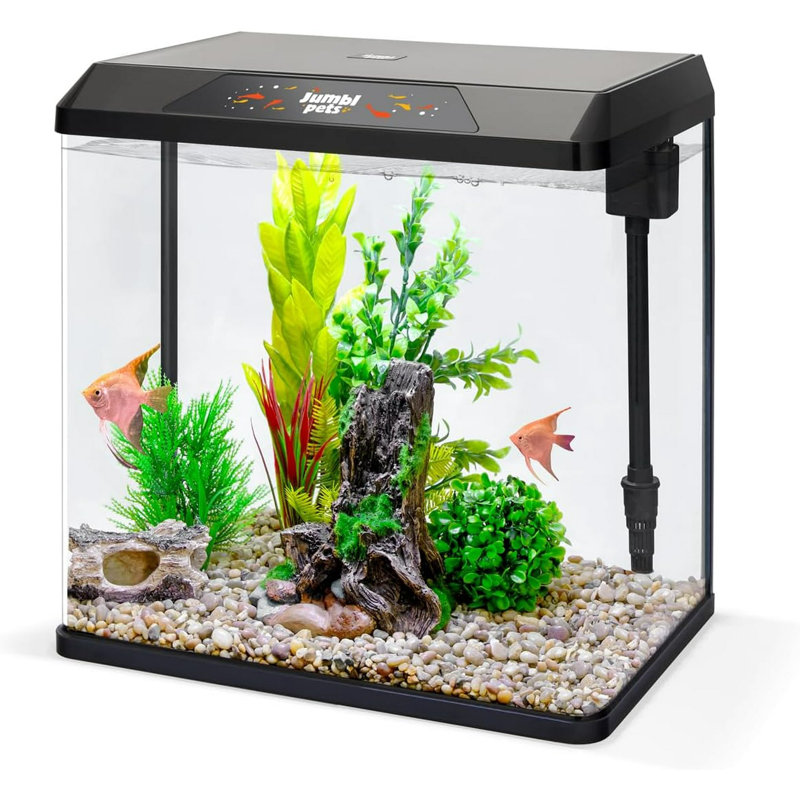 Derez Rectangle Aquarium Tank, 4 Gallon (11.8" H x 8.7"W x 12.6"D)