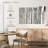 Alvord Birch Wood-107524079