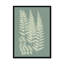 Ferns On Sage III by Vision Studio - Painting on Canvas-280359575-280359561