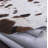 Briggs Leather Animal Print Indoor Rug-24800077
